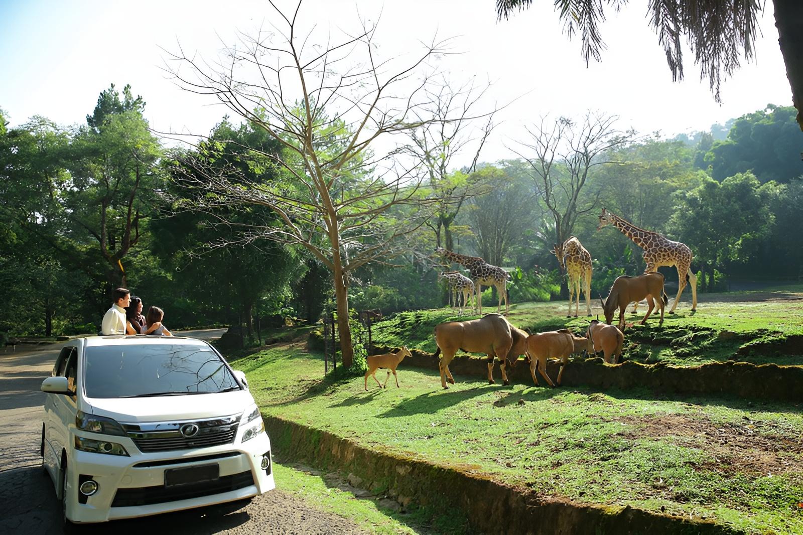 Sewa Bus Pariwisata Lampung ke Bogor