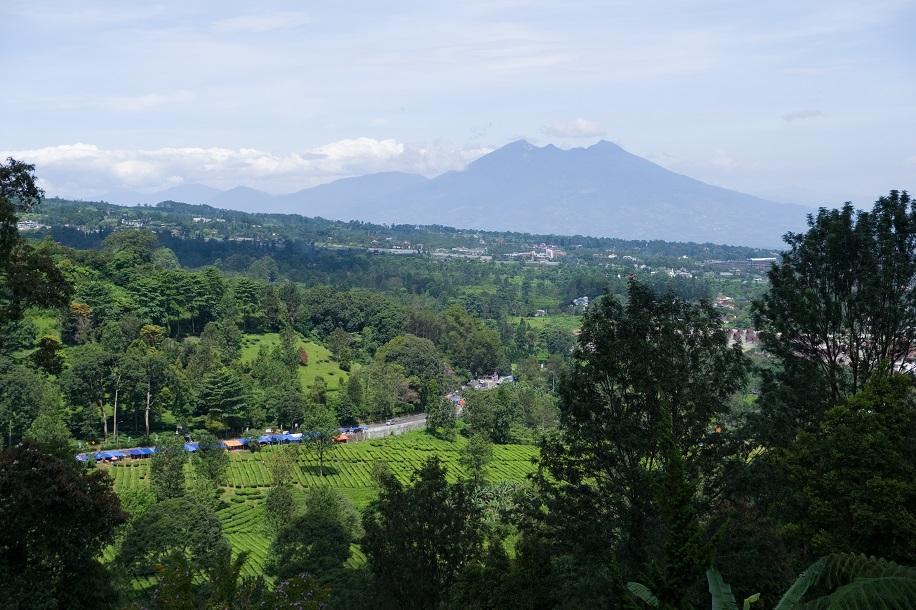 Sewa Bus Pariwisata Lampung ke Bogor