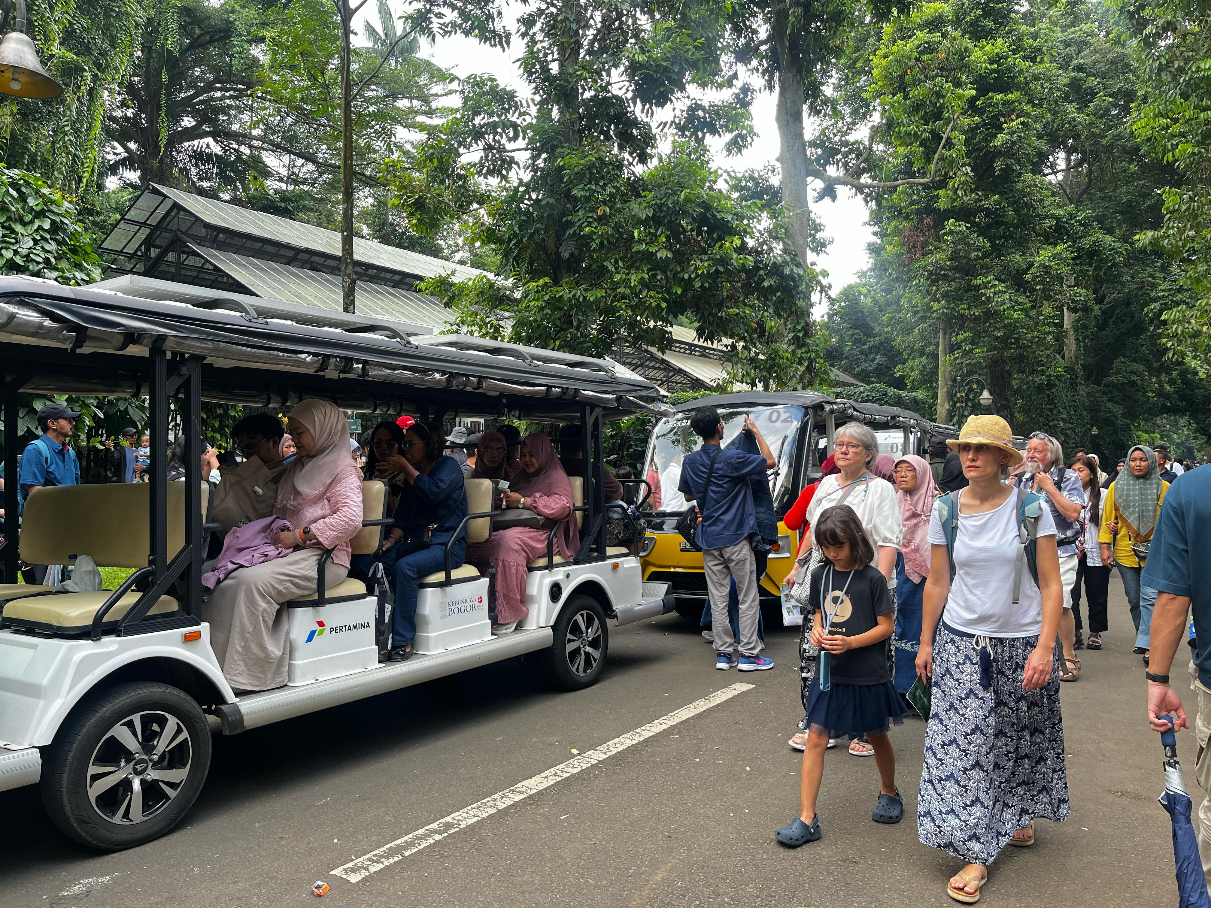 Sewa Bus Pariwisata Lampung ke Bogor