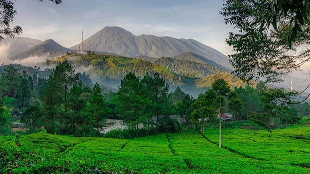 Sewa Bus Pariwisata Lampung ke Bogor